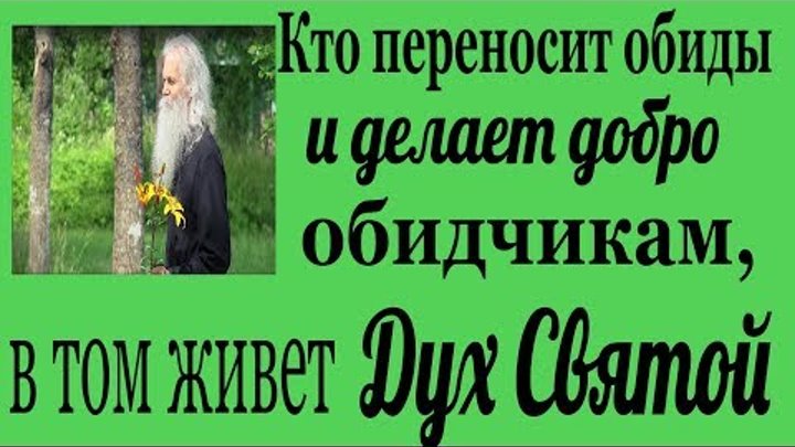 Добрые дела. Святые отцы мирянам. Наставления Святых