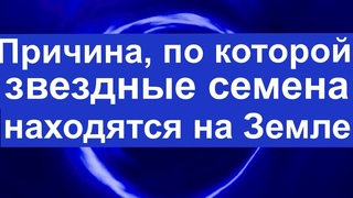 Причина, по которой звездные семена находятся на Земле