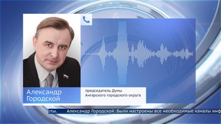 Ангарские депутаты вышли на первую в самоизоляции Думу