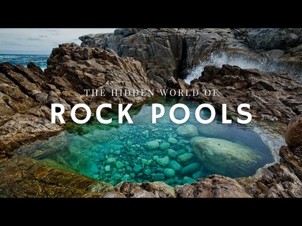 The Secret Life of Rock