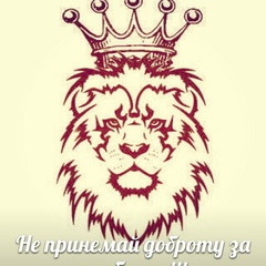 Тимур Бахтияров - видео и фото