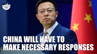 Spokesperson on Chinese embassy's event in UK parliament postponed