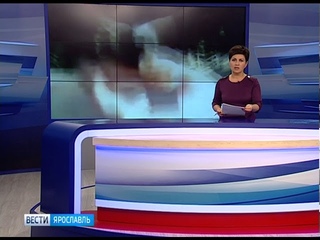 В Ярославле школьницы издевались над своей сверстницей