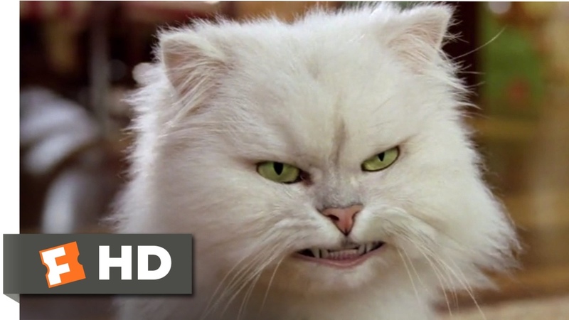 Stuart Little 2 (2002) Silver Lining Scene (4, 10),