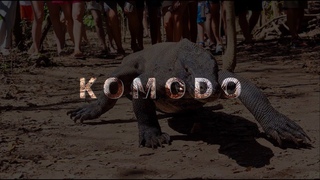Люди напали на Дракона КОМОДО! \ KOMODO!