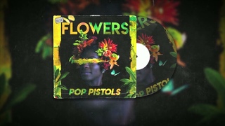 Pop Pistols - Flowers (Bonkerz Remix Edit)
