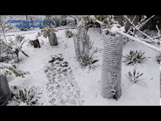 Весенне-зимний апокалипсис в Одессе