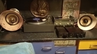 Tube pre amp Le Tube phono Herаga