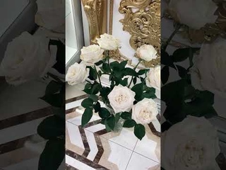 Экскурсия в Гомельском епархиальном управлении. Берешит часть I